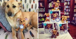 shelter pets stuffed animals